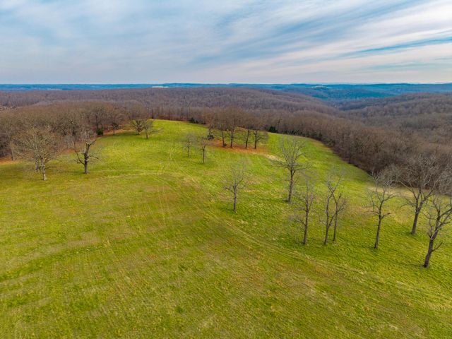 56 Hc 69, Oldfield, MO 65720