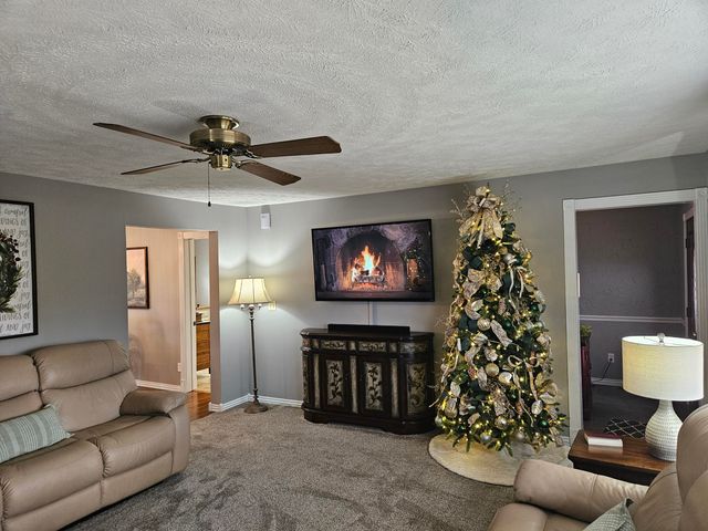 56 Hc 69, Oldfield, MO 65720