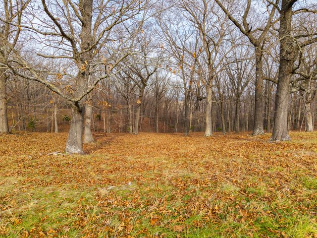 56 Hc 69, Oldfield, MO 65720