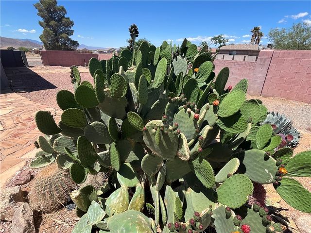 10106 N Concho Drive, Kingman, AZ 86401