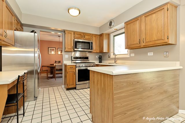 213 Stanton Drive, Buffalo Grove, IL 60089