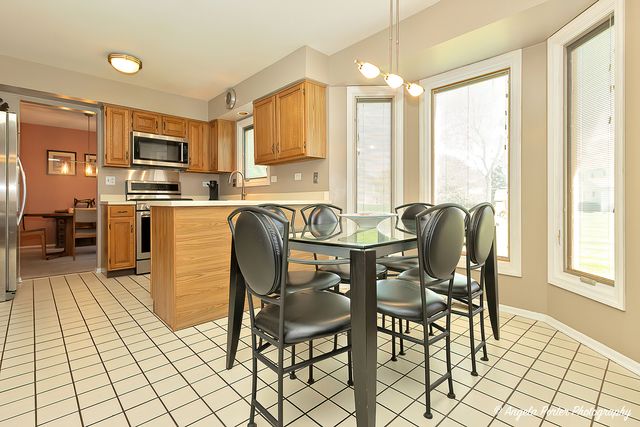 213 Stanton Drive, Buffalo Grove, IL 60089