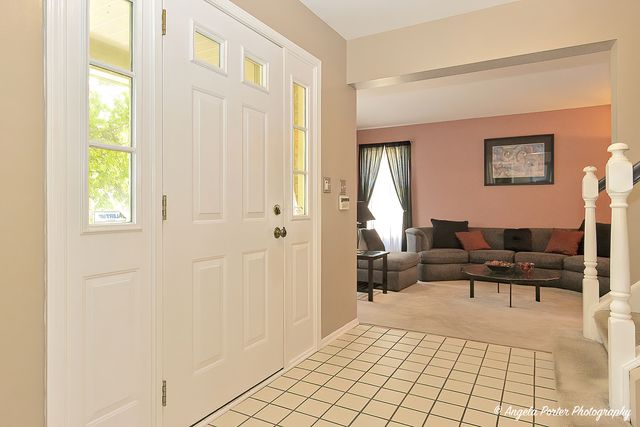 213 Stanton Drive, Buffalo Grove, IL 60089