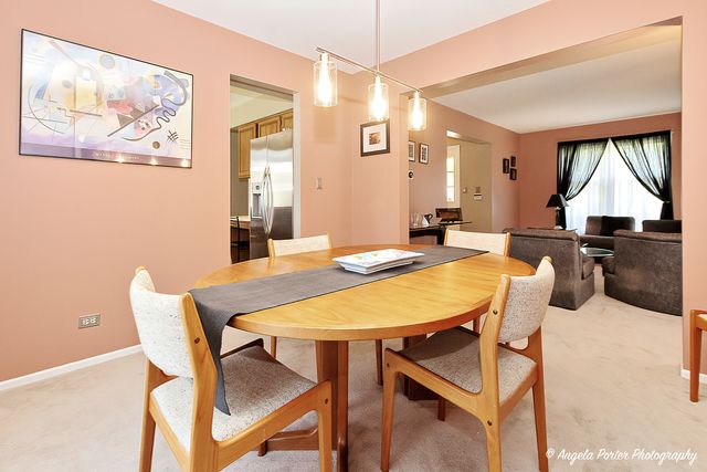 213 Stanton Drive, Buffalo Grove, IL 60089