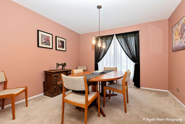 213 Stanton Drive, Buffalo Grove, IL 60089