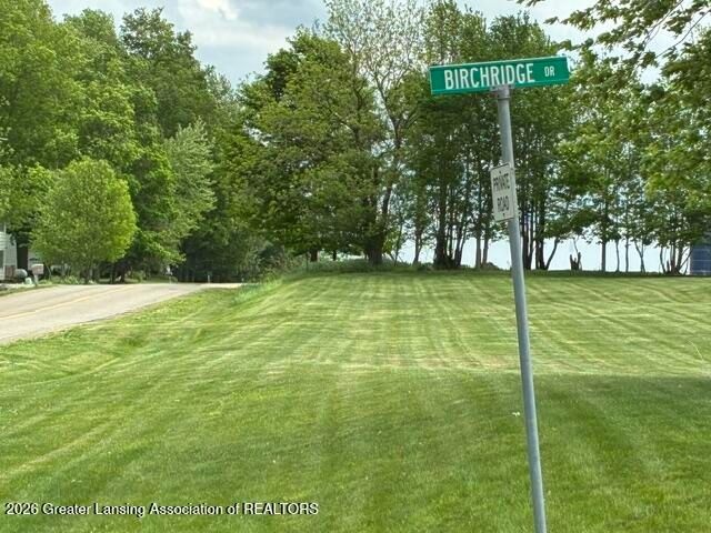 4131 S Birchridge, Charlotte, MI 48813