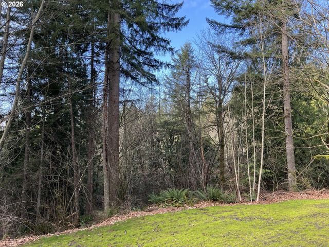 0 Ne SCHAUER Dr, Battle Ground, WA 98604