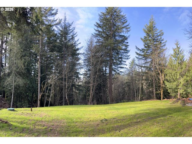 0 Ne SCHAUER Dr, Battle Ground, WA 98604