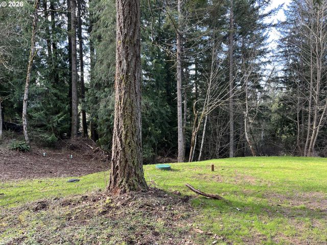 0 Ne SCHAUER Dr, Battle Ground, WA 98604