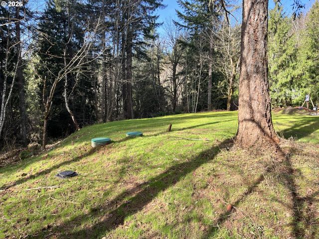 0 Ne SCHAUER Dr, Battle Ground, WA 98604