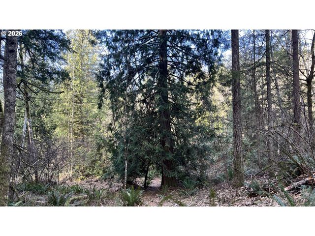 0 Ne SCHAUER Dr, Battle Ground, WA 98604