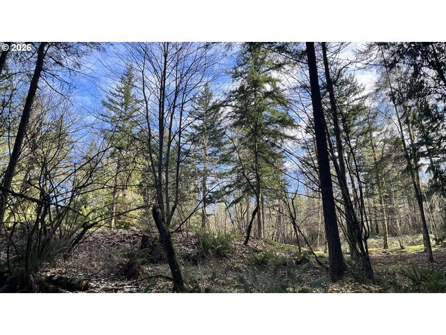0 Ne SCHAUER Dr, Battle Ground, WA 98604