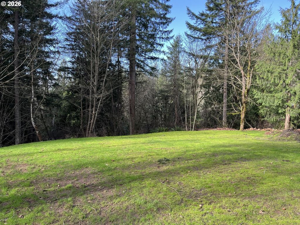 0 Ne SCHAUER Dr, Battle Ground, WA 98604