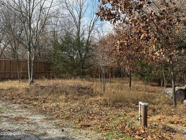 11836 Olsen Lane, Neosho, MO 64850