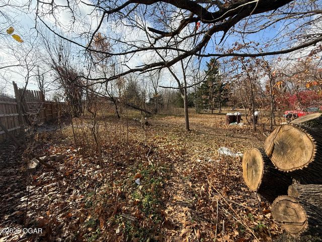 11836 Olsen Lane, Neosho, MO 64850