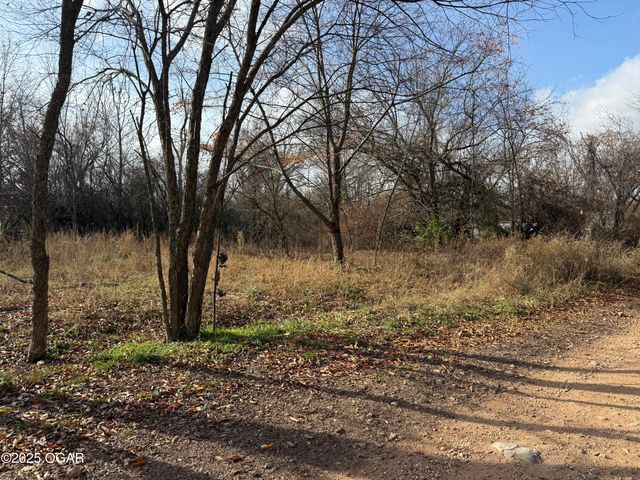 11836 Olsen Lane, Neosho, MO 64850