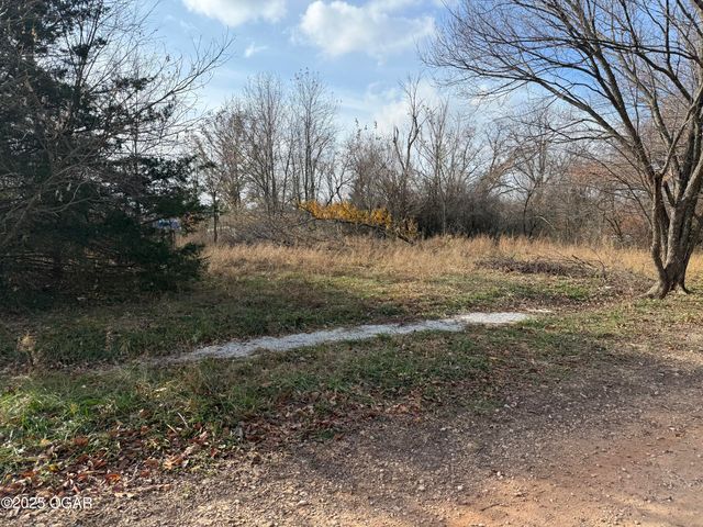 11836 Olsen Lane, Neosho, MO 64850