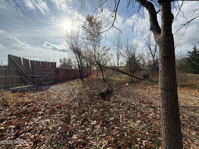 11836 Olsen Lane, Neosho, MO 64850