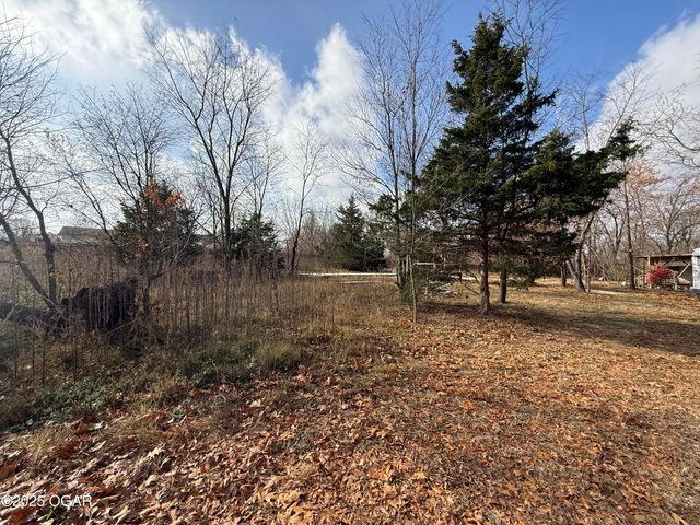 11836 Olsen Lane, Neosho, MO 64850