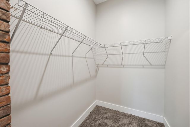 638 N Limestone, Lexington, KY 40508