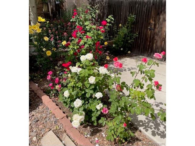 10443 King St, Westminster, CO 80031