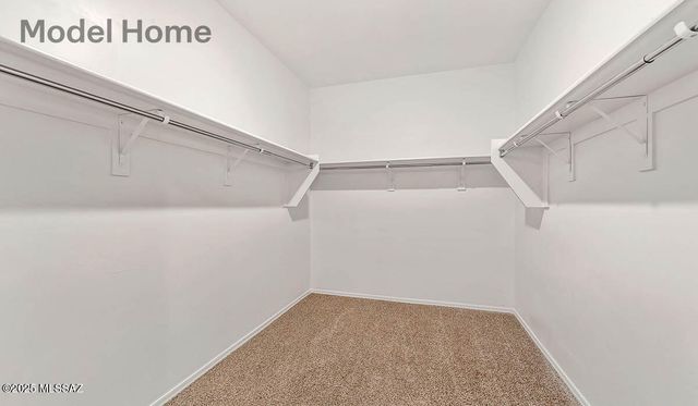 12256 E Morris Carson Drive, Vail, AZ 85641