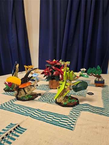 3028 Pinecrest Street, Norman, OK 73071