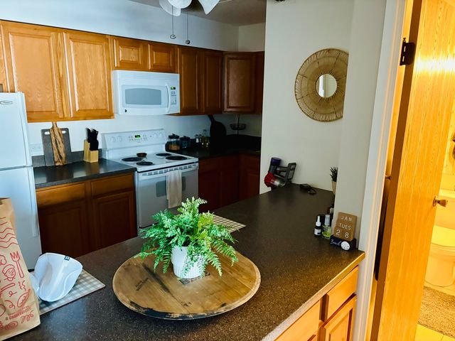 5125 Blodgett Avenue 213, Downers Grove, IL 60515