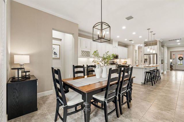 20158 UMBRIA HILL DRIVE, Tampa, FL 33647