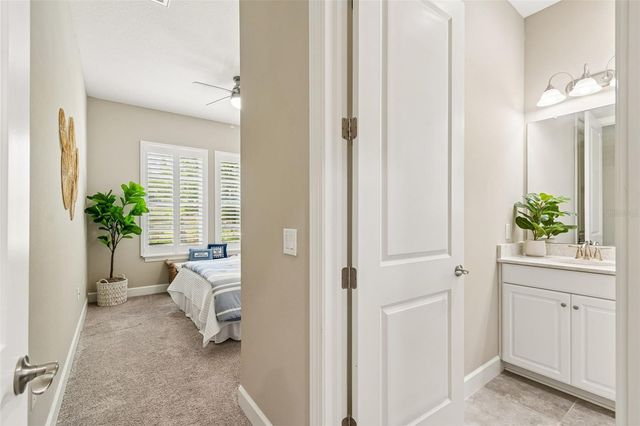 20158 UMBRIA HILL DRIVE, Tampa, FL 33647