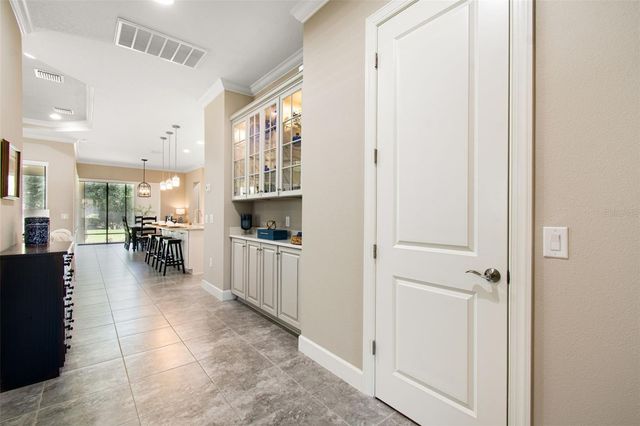 20158 UMBRIA HILL DRIVE, Tampa, FL 33647