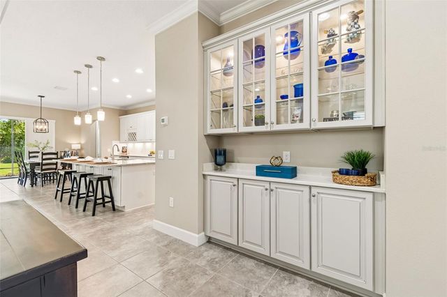 20158 UMBRIA HILL DRIVE, Tampa, FL 33647