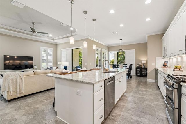 20158 UMBRIA HILL DRIVE, Tampa, FL 33647