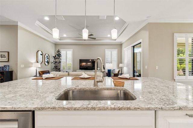 20158 UMBRIA HILL DRIVE, Tampa, FL 33647