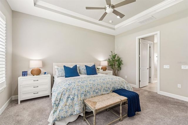 20158 UMBRIA HILL DRIVE, Tampa, FL 33647
