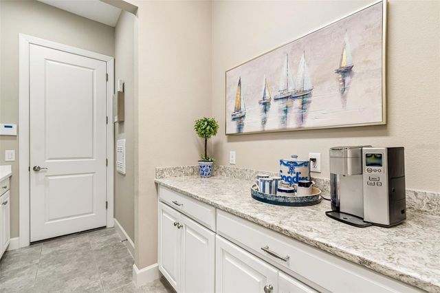 20158 UMBRIA HILL DRIVE, Tampa, FL 33647