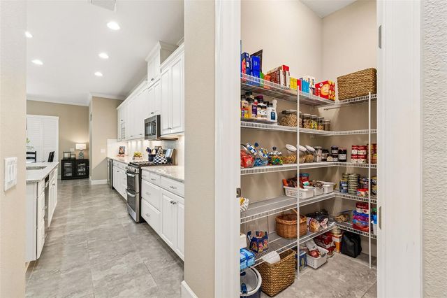 20158 UMBRIA HILL DRIVE, Tampa, FL 33647