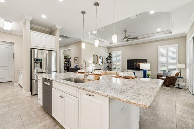 20158 UMBRIA HILL DRIVE, Tampa, FL 33647