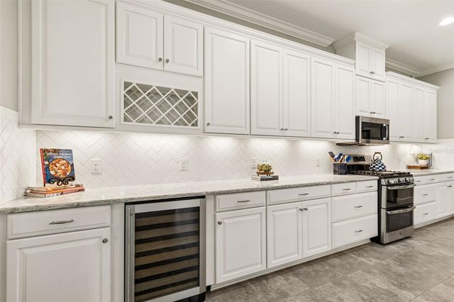 20158 UMBRIA HILL DRIVE, Tampa, FL 33647