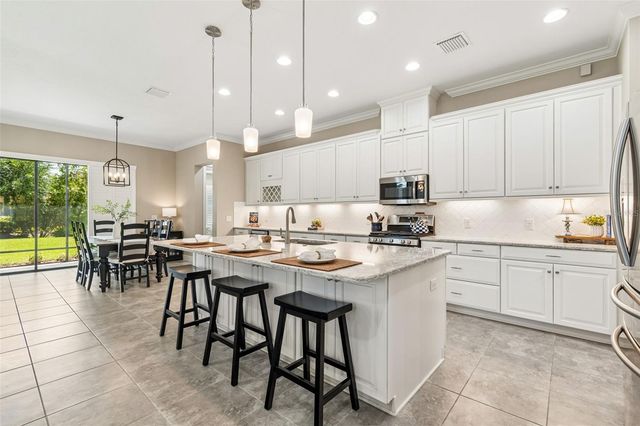 20158 UMBRIA HILL DRIVE, Tampa, FL 33647