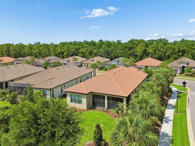 20158 UMBRIA HILL DRIVE, Tampa, FL 33647