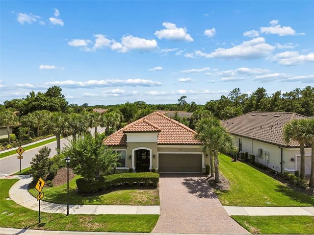 20158 UMBRIA HILL DRIVE, Tampa, FL 33647