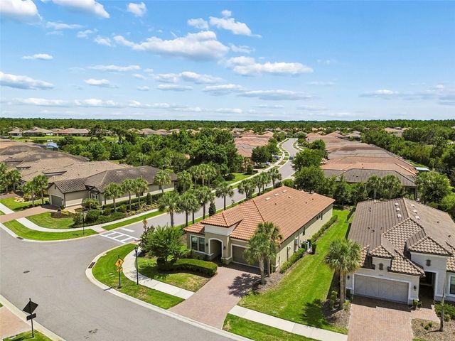 20158 UMBRIA HILL DRIVE, Tampa, FL 33647