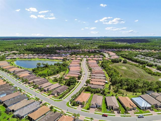20158 UMBRIA HILL DRIVE, Tampa, FL 33647