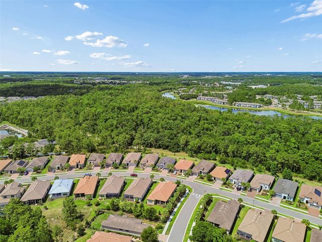 20158 UMBRIA HILL DRIVE, Tampa, FL 33647