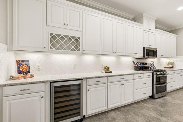 20158 UMBRIA HILL DRIVE, Tampa, FL 33647