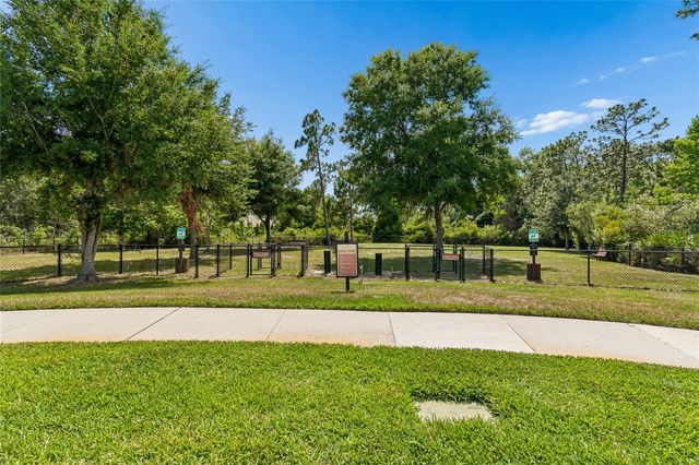 20158 UMBRIA HILL DRIVE, Tampa, FL 33647
