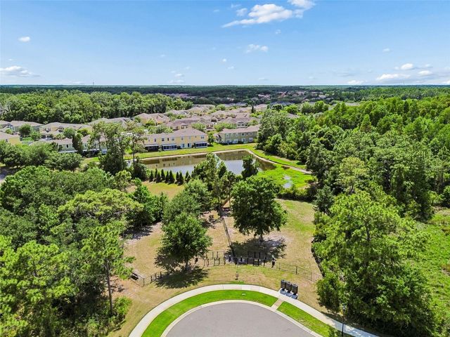 20158 UMBRIA HILL DRIVE, Tampa, FL 33647