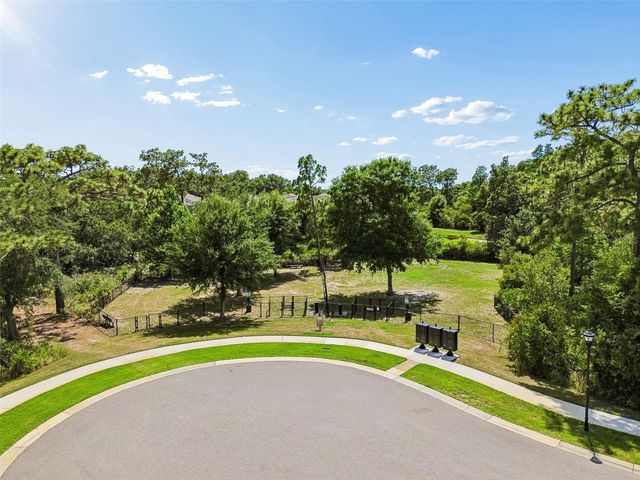 20158 UMBRIA HILL DRIVE, Tampa, FL 33647