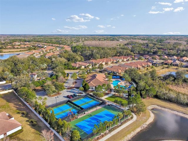 20158 UMBRIA HILL DRIVE, Tampa, FL 33647